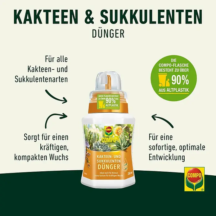 Compo Kakteendünger - 250 ml - COMPO Kakteen- und Sukkulenten-Dünger, ideal für die Pflege und das Wachstum von Kakteen und Sukkulenten.