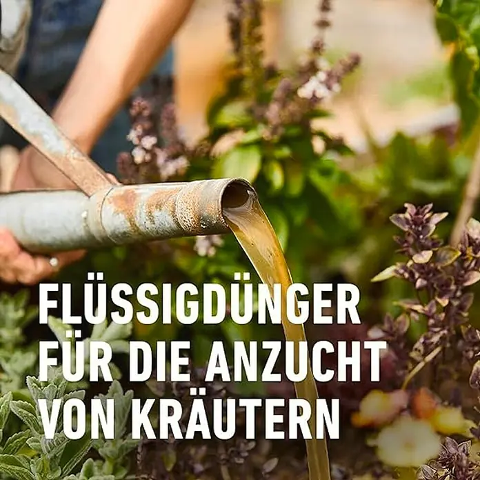 Compo Bio-Kräuterdünger - 0,5 l - Flüssigdünger für Kräuter: Nahaufnahme einer Gießkanne, die Flüssigdünger auf Kräuter im Garten ausgießt.