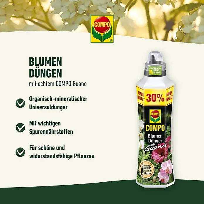 zimmerpflanzen kaufen dresden 7er-Set “Luftreiniger” - Zimmerpflanzen kaufen main image 1