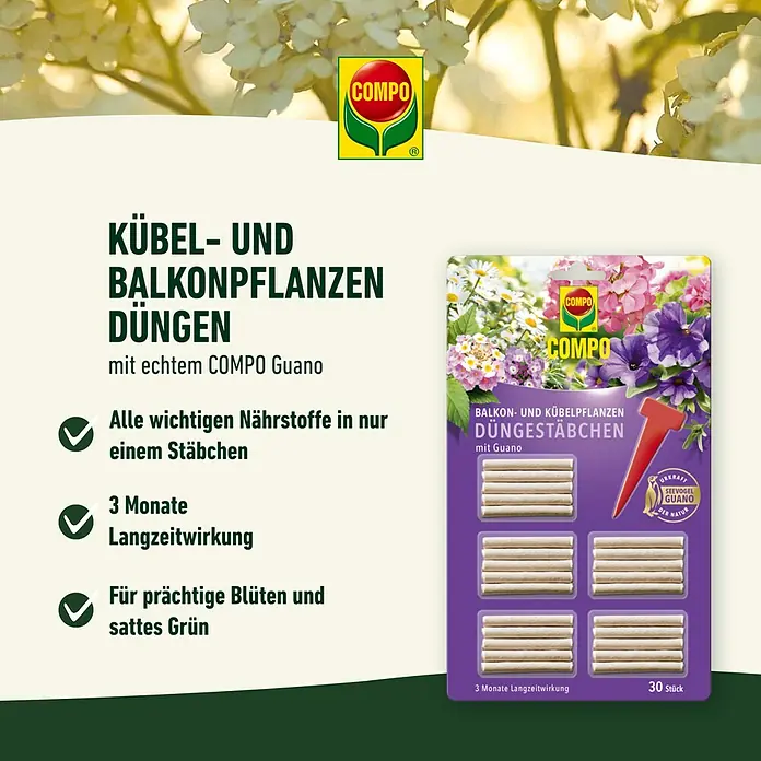 Compo Universaldünger - 30 Stk. - COMPO Kübel- und Balkonpflanzen Düngestäbchen mit Guano für üppige Blüten und sattes Grün. Langzeitwirkung für 3 Monate.