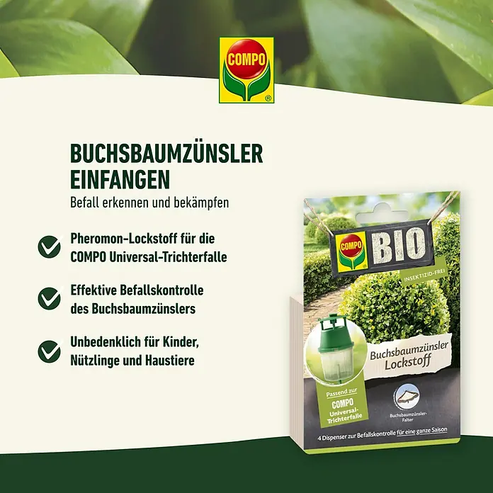 Compo Buchsbaumzünsler-Lockstoff - 4 Stk. - COMPO Buchsbaumzünsler Lockstoff: Effektive Befallskontrolle ohne Insektizide, sicher für Kinder und Haustiere.
