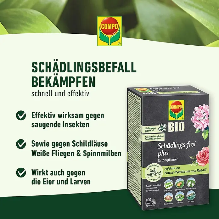 Compo Bio-Schädlingsfrei Plus - 100 ml - Schädlingsbekämpfungsmittel von COMPO gegen saugende Insekten, Schildläuse, Weiße Fliegen und Spinnmilben. Wirkt auch gegen Eier und Larven.