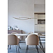 Eglo Grisolia Lámpara colgante LED (22 W, L x An x Al: 115 x 7 x 120 cm, Beige, Blanco neutro) | BAUHAUS