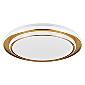 Eglo Plafón LED redondo Moschetta (38 W, Ø x Al: 49 x 7 cm, Dorado, Blanco cálido) | BAUHAUS