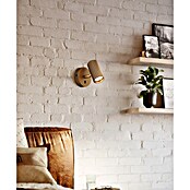 Eglo Aplique de pared Portillo (5 W, L x An x Al: 10,5 x 10,5 x 11 cm, Oro, GU10) | BAUHAUS