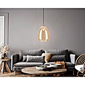 Eglo Lámpara colgante Alobrase (40 W, L x An x Al: 30 x 30 x 110 cm, Oro, E27) | BAUHAUS