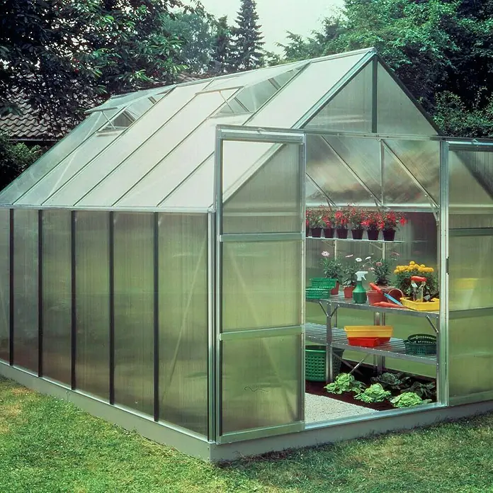 Halls Gewächshaus Magnum 128 - Außenmaß inkl. Dachüberstand (B x T): 257 x 384 cm, Material Seitenwand: Kunststoff, 6 mm, Silbergrau - Gewächshaus mit Regalen und Pflanzen. Das Gewächshaus hat eine Aluminiumstruktur und durchsichtige Paneele, die viel Licht hereinlassen.