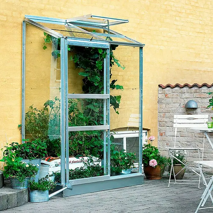 Halls Gewächshaus Altan 2 - Außenmaß inkl. Dachüberstand (B x T): 68 x 131 cm, Material Seitenwand: Glas, 3 mm, Silbergrau - Ein Anlehngewächshaus aus Aluminium mit Pflanzen darin, steht an einer gelben Mauer. Pflanzenkübel stehen davor auf grauem Pflaster.
