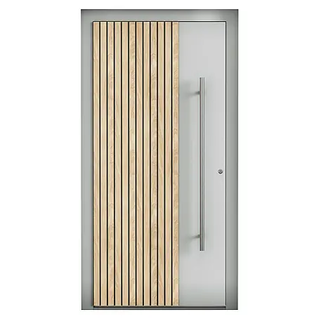 Aurelis  Haustür BH 1121