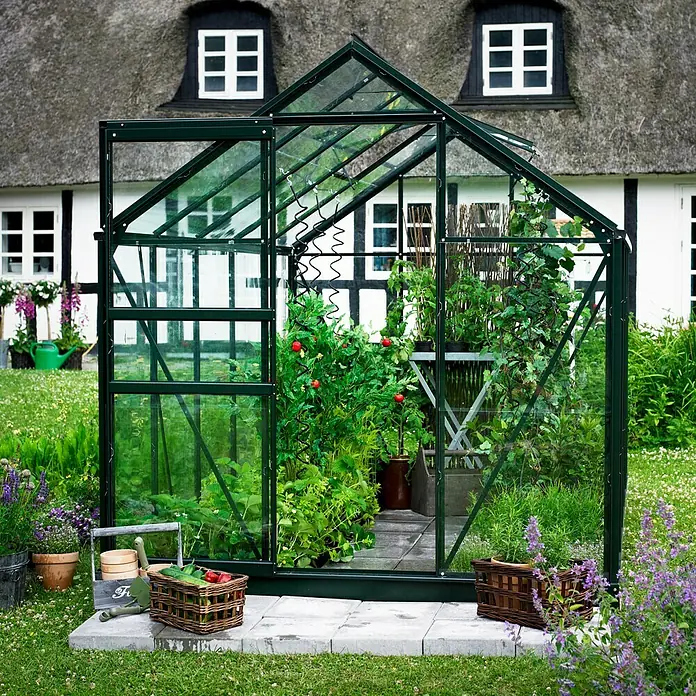 Halls Gewächshaus Popular 106 - Außenmaß inkl. Dachüberstand (B x T): 193 x 319 cm, Material Seitenwand: Glas, 3 mm, Grün - Das grüne Gewächshaus mit Glaswänden ist mit Tomatenpflanzen und anderen Pflanzen gefüllt und steht im Garten.