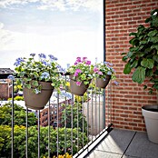 Artevasi Capri Campana Geländertopf Set (Außenmaß (Ø x H): 20 x 19,5 cm, Kunststoff, Grau, Matt) | BAUHAUS