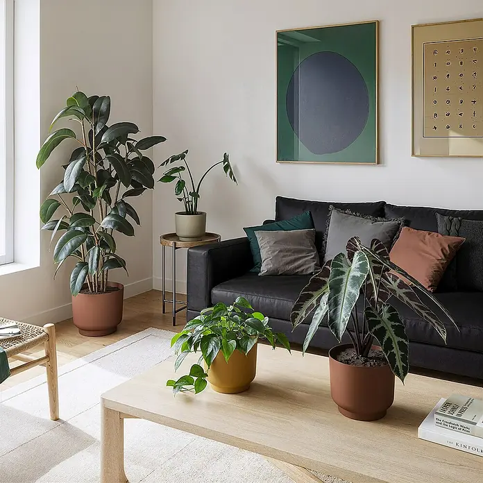 Artevasi Übertopf rund Miami - Außenmaß (Ø x H): 15,4 x 13 cm, Kunststoff, Light Pink, Matt - Einrichtung mit Ledersofa, Couchtisch mit Pflanzen und Zimmerpflanzen in Tontöpfen, die dem Raum ein natürliches Flair verleihen.
