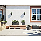 Artevasi Capri Campana Balkonkasten (Außenmaß (L x B x H): 79 x 37 x 33,5 cm, Kunststoff, Grau, Matt) | BAUHAUS