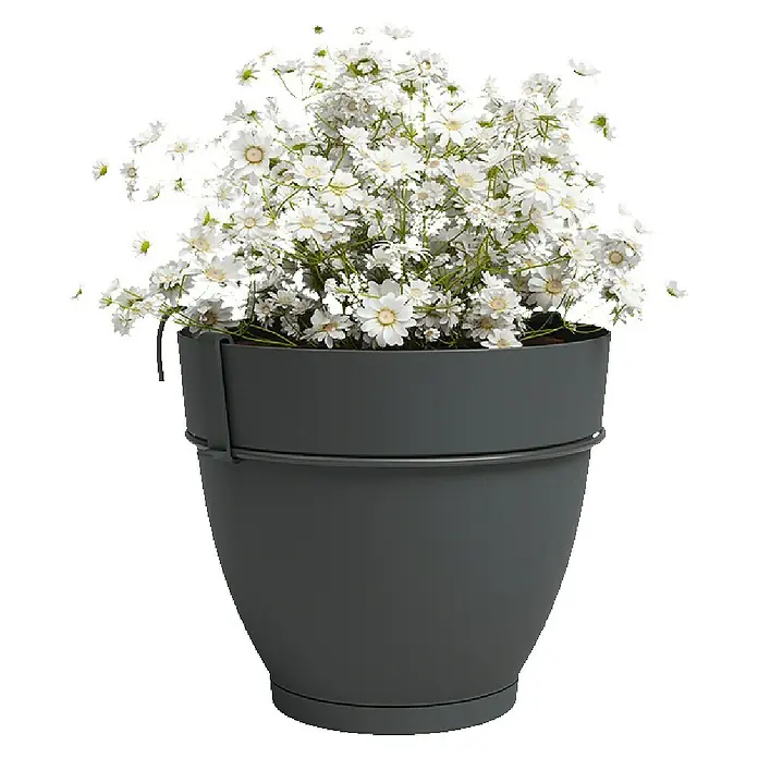 Artevasi Capri Campana Geländertopf Set - Außenmaß (Ø x H): 20 x 19,5 cm, Kunststoff, Anthrazit, Matt - Eine Nahaufnahme eines grauen Topfes mit weißen Gänseblümchen. Der Topf hat einen Metallrand, der ihm einen modernen Touch verleiht.