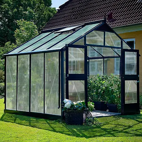 Juliana  Gewächshaus Premium