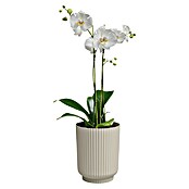 Artevasi Übertopf rund Miami Wavy Orchid (Außenmaß (Ø x H): 12,7 x 15,8 cm, Kunststoff, Creme, Matt) | BAUHAUS