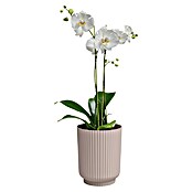Artevasi Übertopf rund Miami Wavy Orchid (Außenmaß (Ø x H): 12,7 x 15,8 cm, Kunststoff, Light Pink, Matt) | BAUHAUS
