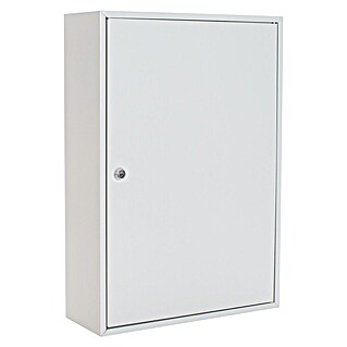 Rottner Schlüsselschrank S 200 (L x B x H: 140 x 380 x 550 mm, Lichtgrau, Zylinderschloss)