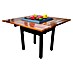 Purline Holzkohlegrill mit EFP54-Tabelle 