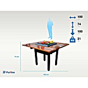 Purline Holzkohlegrill mit EFP54-Tabelle (L x B: 100 x 100 cm, Stahl, Schwarz/Braun) | BAUHAUS