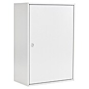 Rottner Schlüsselschrank S 300 (Lichtgrau, L x B x H: 205 x 380 x 550 mm) | BAUHAUS