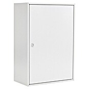Rottner Schlüsselschrank S 250 (Anzahl Haken: 250 Stk., L x B x H: 205 x 380 x 550 mm, Zylinderschloss) | BAUHAUS