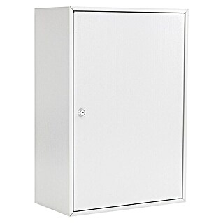 Rottner Schlüsselschrank S 250 (Anzahl Haken: 250 Stk., L x B x H: 205 x 380 x 550 mm, Zylinderschloss)