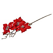 Okrasna vejica z božičnimi zvezdami  (Rdeča, Plastika, 64 cm) | 8496 - Weihnachten Deko | IDDP - Weihnachten | IDD - Trendy | ID - Trendy | I - Stadtgarten | BAUHAUS