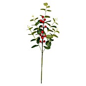 Okrasna vejica evkaliptusa z jagodičevjem  (Zelena, Rdeča, Plastika, 55 cm) | 8496 - Weihnachten Deko | IDDP - Weihnachten | IDD - Trendy | ID - Trendy | I - Stadtgarten | BAUHAUS