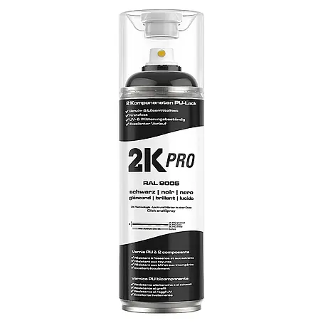 2K Pro  Farbspray 2 Komponenten Sprühfarbe 400ml RAL9005 Tiefschwarz Glanz