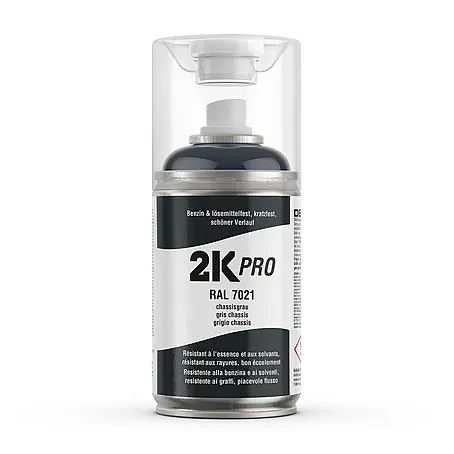 2K Pro  Farbspray 2 Komponenten Sprühfarbe 250ml RAL7021 Chassisgrau Glanz
