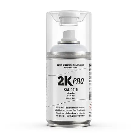 2K Pro  Farbspray 2 Komponenten Sprühfarbe 250ml RAL9010 Reinweiss Glanz
