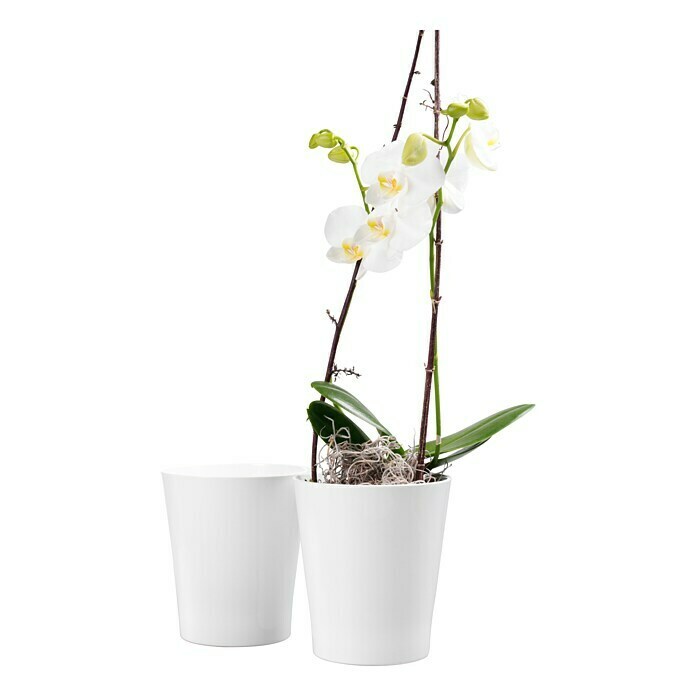 SK Tegla za orhideju (Ø x V: 7 x 8 cm, Bijelo, Sjajno)