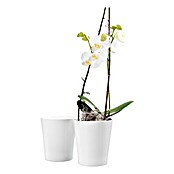 SK Tegla za orhideju (Ø x V: 7 x 8 cm, Bijelo, Sjajno)