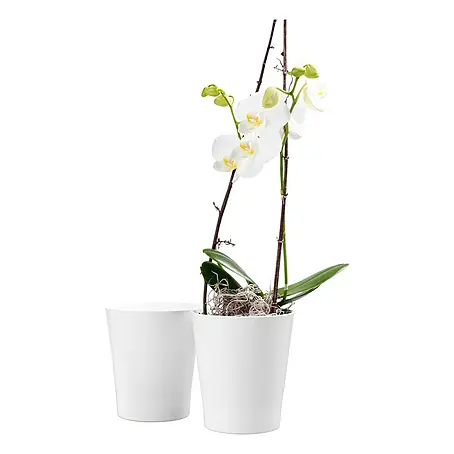Orchideentopf online kaufen