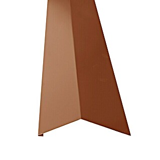 Schürze für Dachrinne PP12 (Terrakotta, Länge: 100 cm, Stahl)