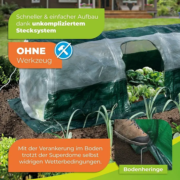 BioGreen Folientunnel Superdome - 300 x 60 cm - Superdome-Gewächshaus für den Garten, schneller Aufbau dank Stecksystem und Verankerung im Boden, widersteht jedem Wetter.