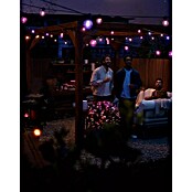 Philips Hue Led-feestverlichting Festavia 7 m (7 m, Aantal lichtbronnen: 10 st.) | BAUHAUS