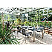 Acamp Gartenmöbel-Set Auris (7 -tlg., Stapelbar, Silber/Schwarz) | BAUHAUS