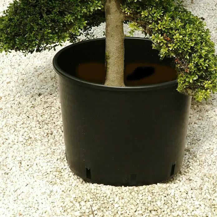 Floraworld Comfort Pflanztopf-Einsatz - 7,5 l, Kunststoff, Schwarz - Der Fokus liegt auf einem schwarzen Pflanzkübel mit einem kleinen Baum, umgeben von weißen Kieselsteinen.