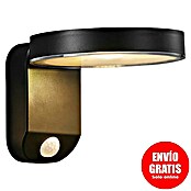 Nordlux Rica Aplique solar para exterior (4,5 W, L x An x Al: 18,2 mm x 15 cm x 12 cm, Negro, IP44, 450 lm, Redonda) | BAUHAUS