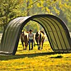 ShelterLogic Weidezelt (610 x 370 x 240 cm, Polyethylen, Grammatur: 255 g/m²)