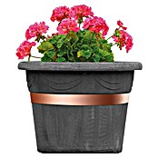 Bellissa Kupferband (500 x 3 cm, Kupfer, Selbstklebend)