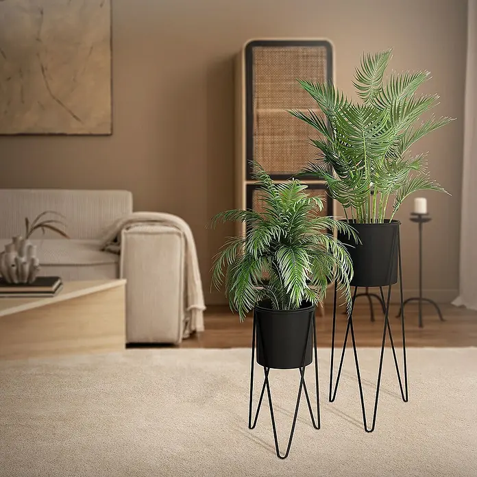 ML-Design Pflanztopf Blumentopfständer Schwarz Wetterfeste und robuste Blumentopfhalter - Stahl, Schwarz - Zwei Zimmerpflanzen in stilvollen, schwarzen Übertöpfen mit schlanken Metallständern, die das moderne Ambiente des Raumes ergänzen.