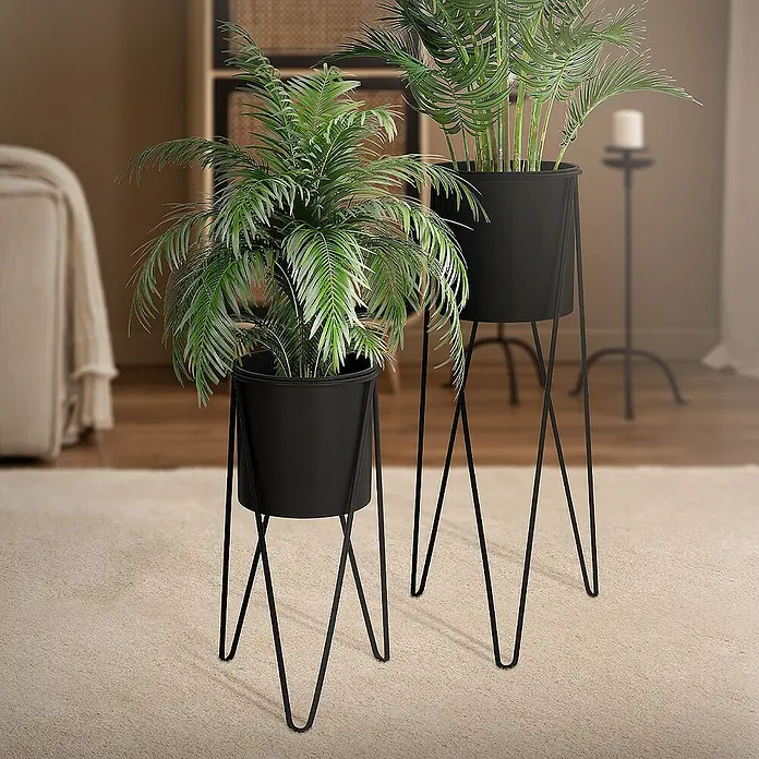 ML-Design Pflanztopf Blumentopfständer Schwarz Wetterfeste und robuste Blumentopfhalter - Stahl, Schwarz - Zwei Zimmerpflanzen in schwarzen Pflanzgefäßen auf schlanken Metallständern, die ein stilvolles Interieur ergänzen.