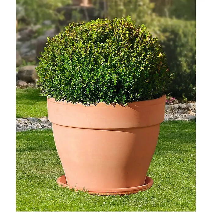 Deroma White Garden Pflanztopf Montelupo Set - Auenma ( x H): 33 x 28 cm,  Naturmaterialien, Tonwei online kaufen bei BAUHAUS