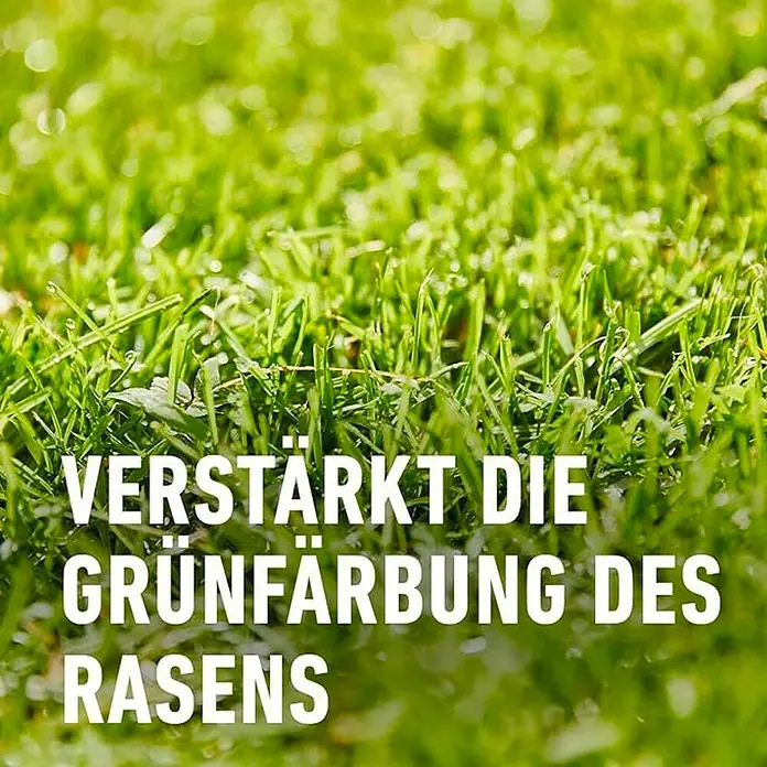 Compo Rasendünger Moos nein Danke! - 7,5 kg, Max. Anwendungsfläche: 200 m² - Nahaufnahme von grünem Rasen mit der Aufschrift "Verstärkt die Grünfärbung des Rasens".