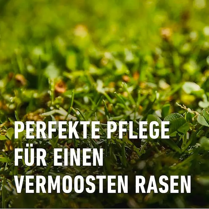 Compo Rasendünger Moos nein Danke! - 7,5 kg, Max. Anwendungsfläche: 200 m² - Nahaufnahme eines Rasens mit Text "Perfekte Pflege für einen vermoosten Rasen".