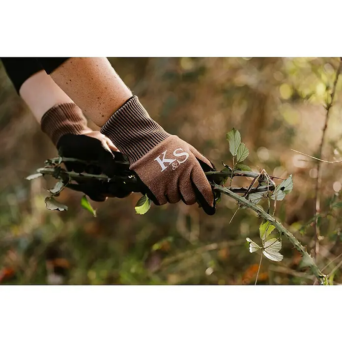 Kent & Stowe Gartenhandschuhe Sure & Grip - M, Braun/Schwarz - Hände mit braunen KS&S-Gartenhandschuhen schneiden einen stacheligen Ast. Diese Handschuhe schützen Ihre Hände bei der Gartenarbeit.