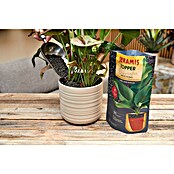 Seramis Pflanzgranulat Topper (1 l, Dark Shadow) | BAUHAUS